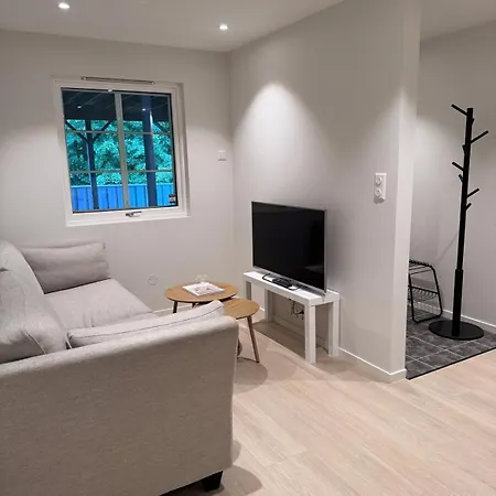Modern In Apartment