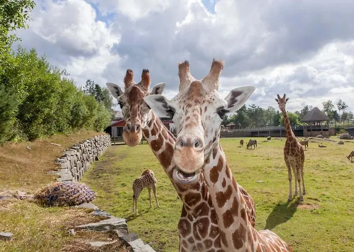 Modern Unit In Leilighet Kristiansand