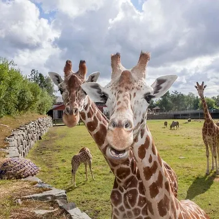 Modern Unit In Διαμέρισμα Κρίστιανσαντ